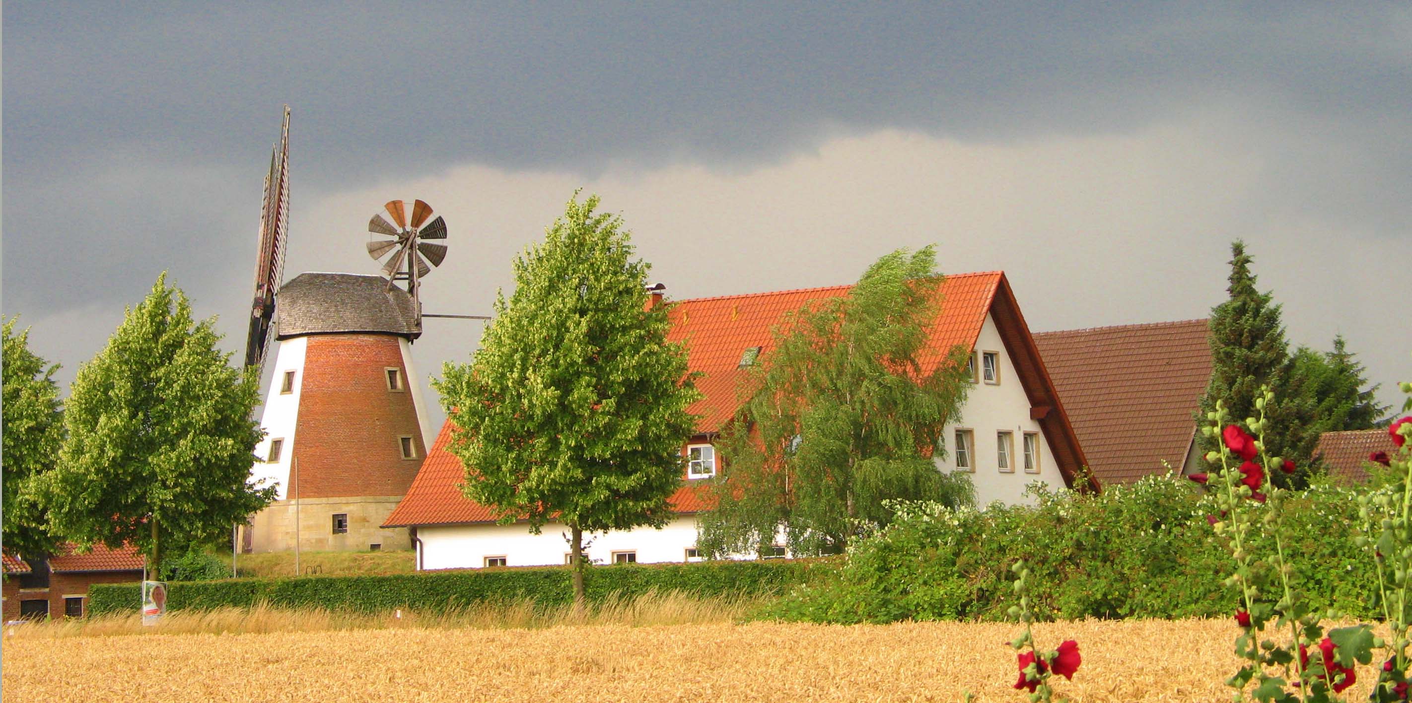 Windmhle Meissen; Foto: Gnter Bohnenkamp