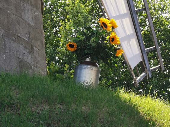 Jubilum in der Windmhle Meien